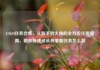 CSGO任务合集，从新手到大神的全方位任务指南，助你快速成长并掌握任务怎么做