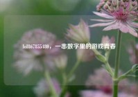 lol867855480，一串数字里的游戏青春