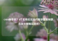 CSGO帧率低？8个实用优化技巧帮你提高帧数，告别卡顿畅玩游戏！