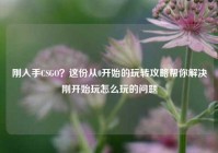 刚入手CSGO？这份从0开始的玩转攻略帮你解决刚开始玩怎么玩的问题