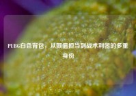 PUBG白色背包，从颜值担当到战术利器的多重身份