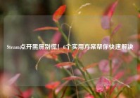 Steam点开黑屏别慌！6个实用方案帮你快速解决