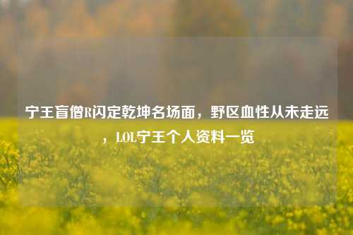 宁王盲僧R闪定乾坤名场面，野区血性从未走远，LOL宁王个人资料一览