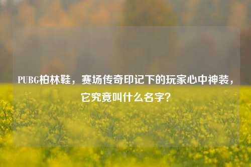 PUBG柏林鞋，赛场传奇印记下的玩家心中神装，它究竟叫什么名字？