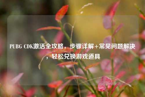PUBG CDK激活全攻略，步骤详解+常见问题解决，轻松兑换游戏道具