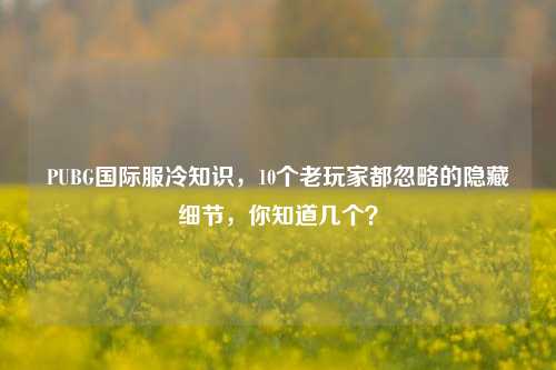 PUBG国际服冷知识，10个老玩家都忽略的隐藏细节，你知道几个？