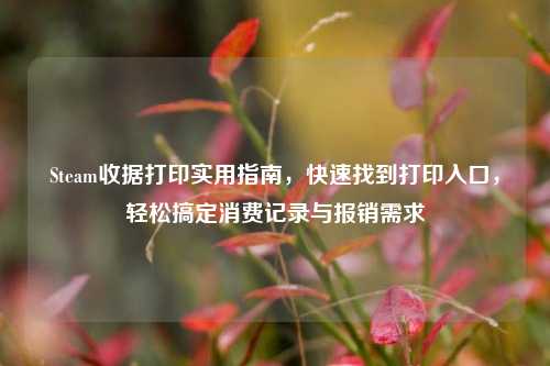Steam收据打印实用指南，快速找到打印入口，轻松搞定消费记录与报销需求
