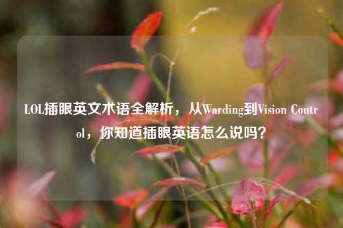 LOL插眼英文术语全解析，从Warding到Vision Control，你知道插眼英语怎么说吗？