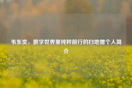 韦东奕，数学世界里纯粹前行的扫地僧个人简介