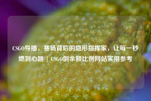 CSGO导播，赛场背后的隐形指挥家，让每一秒燃到心跳 | CSGO倒余额比例网站实用参考