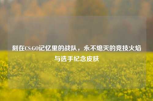 刻在CS:GO记忆里的战队，永不熄灭的竞技火焰与选手纪念皮肤