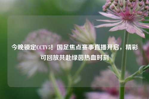 今晚锁定CCTV5！国足焦点赛事直播开启，精彩可回放共赴绿茵热血时刻