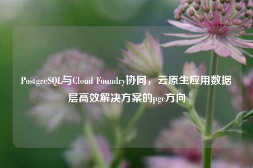 PostgreSQL与Cloud Foundry协同，云原生应用数据层高效解决方案的pgc方向