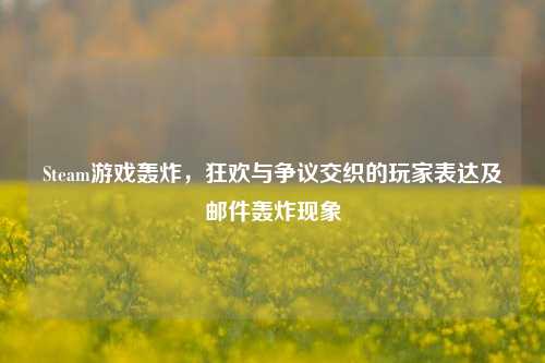 Steam游戏轰炸，狂欢与争议交织的玩家表达及邮件轰炸现象