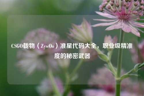 CSGO载物（ZywOo）准星代码大全，职业级精准度的秘密武器