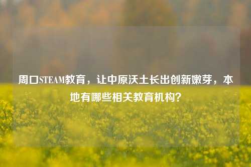 周口STEAM教育，让中原沃土长出创新嫩芽，本地有哪些相关教育机构？