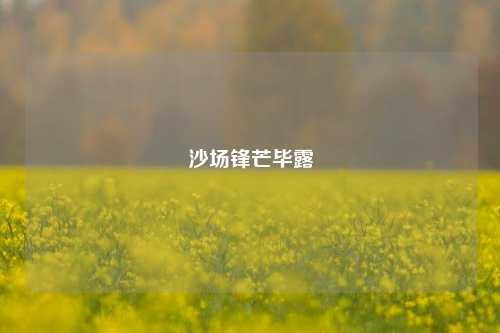 沙场锋芒毕露