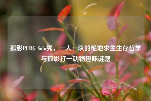 孤影PUBG Solo秀，一人一队的绝地求生生存哲学与孤影打一动物趣味谜题