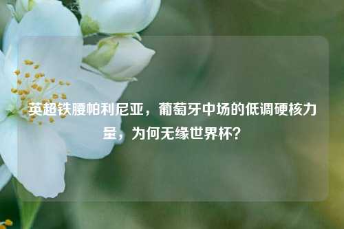 英超铁腰帕利尼亚，葡萄牙中场的低调硬核力量，为何无缘世界杯？
