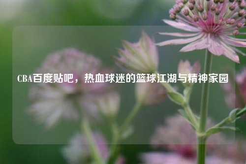CBA百度贴吧，热血球迷的篮球江湖与精神家园