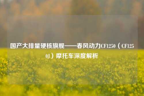 国产大排量硬核旗舰——春风动力CF1250（CF1250J）摩托车深度解析