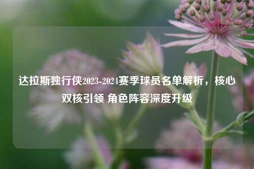 达拉斯独行侠2023-2024赛季球员名单解析，核心双核引领 角色阵容深度升级