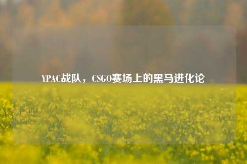 YPAC战队，CSGO赛场上的黑马进化论