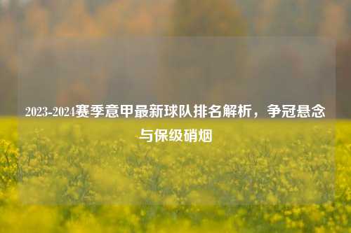 2023-2024赛季意甲最新球队排名解析，争冠悬念与保级硝烟