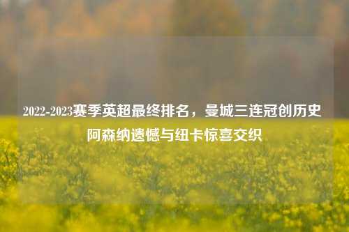 2022-2023赛季英超最终排名，曼城三连冠创历史 阿森纳遗憾与纽卡惊喜交织