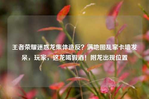 王者荣耀迷惑龙集体造反？满地图乱窜卡墙发呆，玩家，这龙喝假酒！附龙出现位置