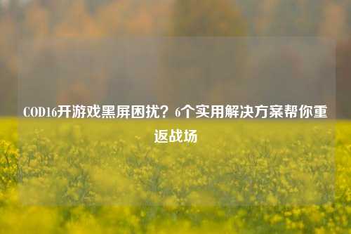 COD16开游戏黑屏困扰?6个实用解决方案帮你重返战场