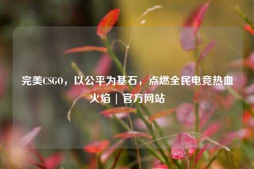 完美CSGO,以公平为基石,点燃全民电竞热血火焰 | 官方网站