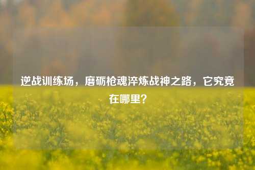 逆战训练场，磨砺枪魂淬炼战神之路，它究竟在哪里？