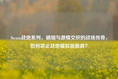 Steam战地系列,硝烟与激情交织的战场传奇,如何禁止战地模拟器载具?