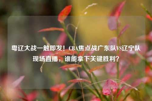 粤辽大战一触即发！CBA焦点战广东队VS辽宁队现场直播，谁能拿下关键胜利？