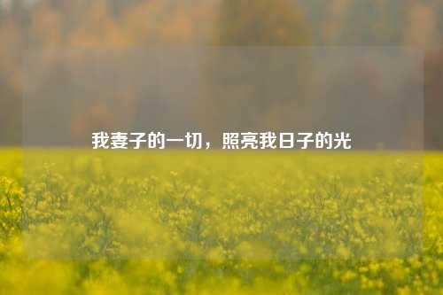 我妻子的一切,照亮我日子的光