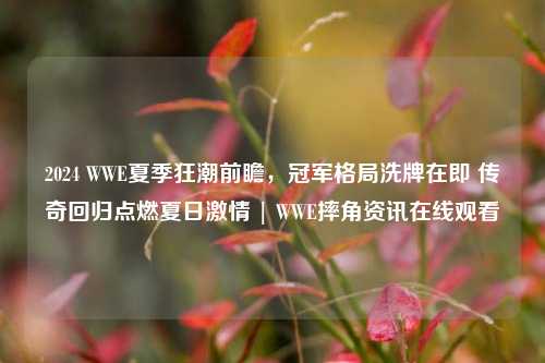 2024 WWE夏季狂潮前瞻,冠军格局洗牌在即 传奇回归点燃夏日激情 | WWE摔角资讯在线观看