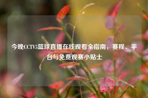 今晚CCTV5篮球直播在线观看全指南,赛程、平台与免费观赛小贴士