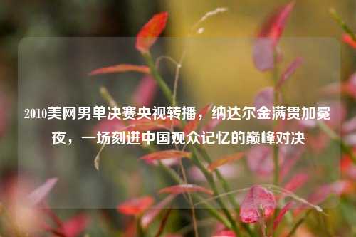 2010美网男单决赛央视转播，纳达尔金满贯加冕夜，一场刻进中国观众记忆的巅峰对决