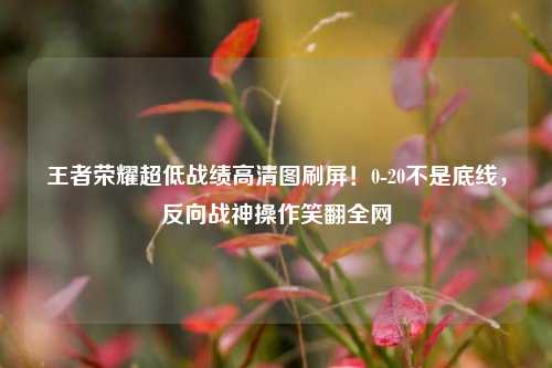 王者荣耀超低战绩高清图刷屏！0-20不是底线，反向战神操作笑翻全网