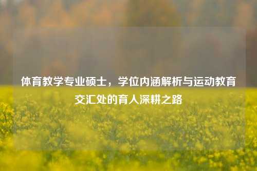 体育教学专业硕士,学位内涵解析与运动教育交汇处的育人深耕之路