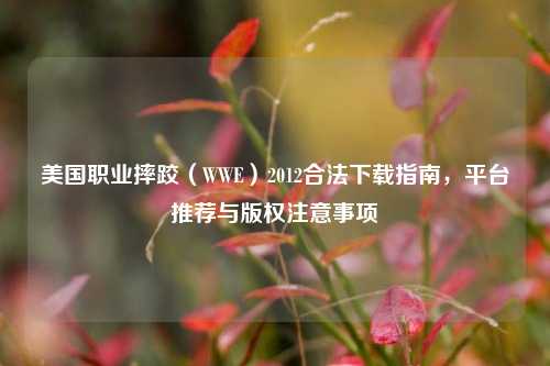 美国职业摔跤(WWE)2012合法下载指南,平台推荐与版权注意事项