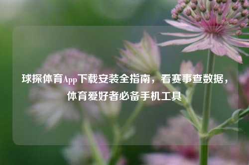 球探体育App下载安装全指南,看赛事查数据,体育爱好者必备手机工具