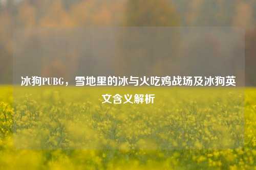 冰狗PUBG,雪地里的冰与火吃鸡战场及冰狗英文含义解析