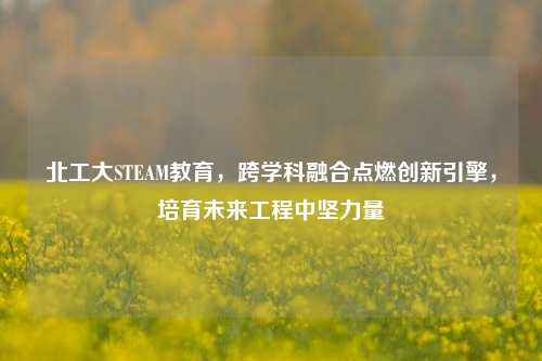 北工大STEAM教育,跨学科融合点燃创新引擎,培育未来工程中坚力量