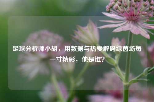 足球分析师小胡，用数据与热爱解码绿茵场每一寸精彩，他是谁？