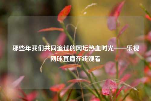 那些年我们共同追过的网坛热血时光——乐视网球直播在线观看