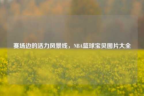 赛场边的活力风景线,NBA篮球宝贝图片大全