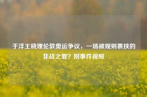 于洋王晓理伦敦奥运争议，一场被规则裹挟的非战之罪？附事件视频