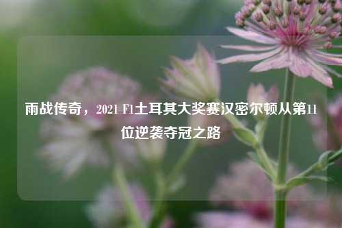 雨战传奇，2021 F1土耳其大奖赛汉密尔顿从第11位逆袭夺冠之路